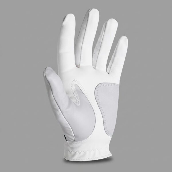 70a69ccb-1e1e-4ad6-b731-1a3155670519 FootJoy WeatherSof Golf Glove